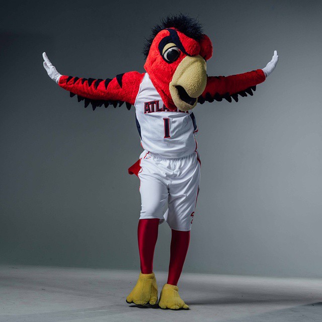 harrythehawk-instagram